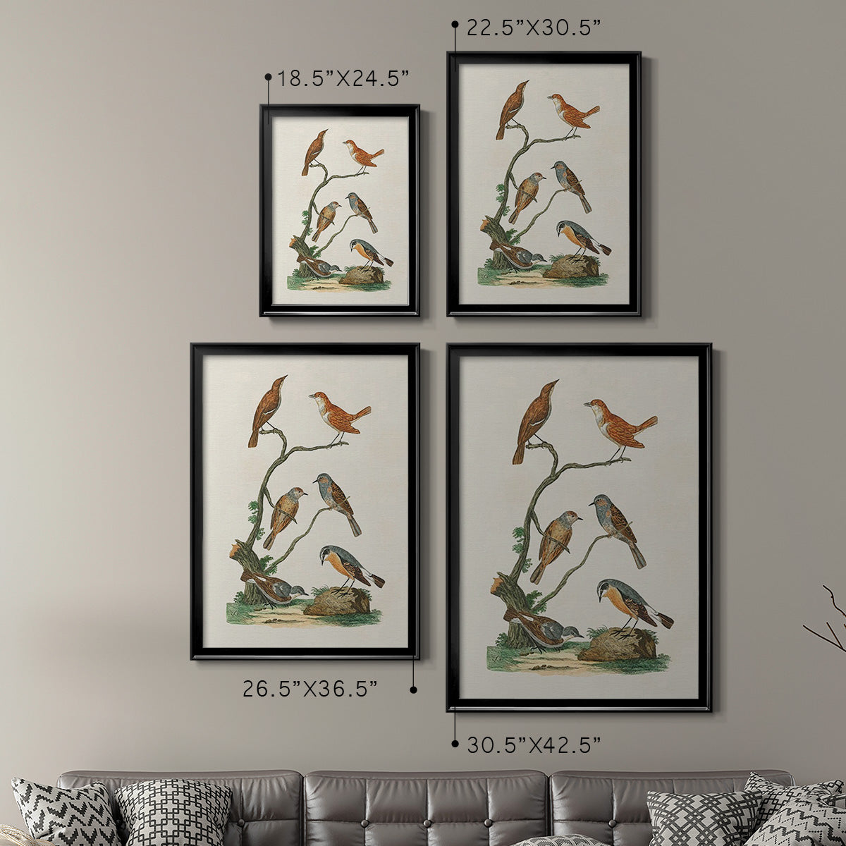 Antique Birds in Nature IV Premium Framed Print - Ready to Hang