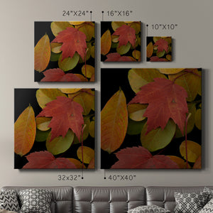 Small Vivid Leaves III (ST)-Premium Gallery Wrapped Canvas - Ready to Hang