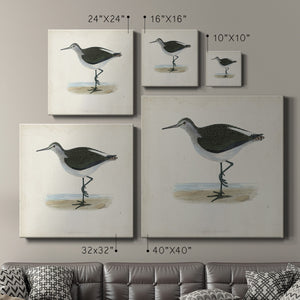 Morris Sandpipers VI-Premium Gallery Wrapped Canvas - Ready to Hang