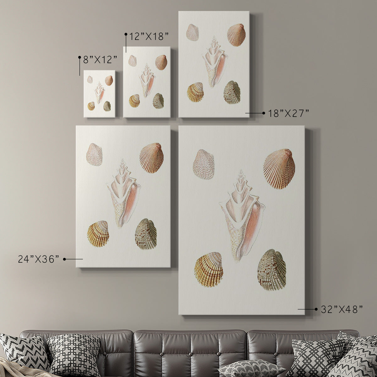 Pastel Knorr Shells IX Premium Gallery Wrapped Canvas - Ready to Hang