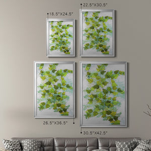 Ivy Premium Framed Print - Ready to Hang