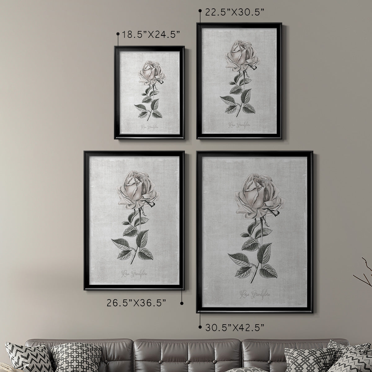 Vintage Botanical II Premium Framed Print - Ready to Hang