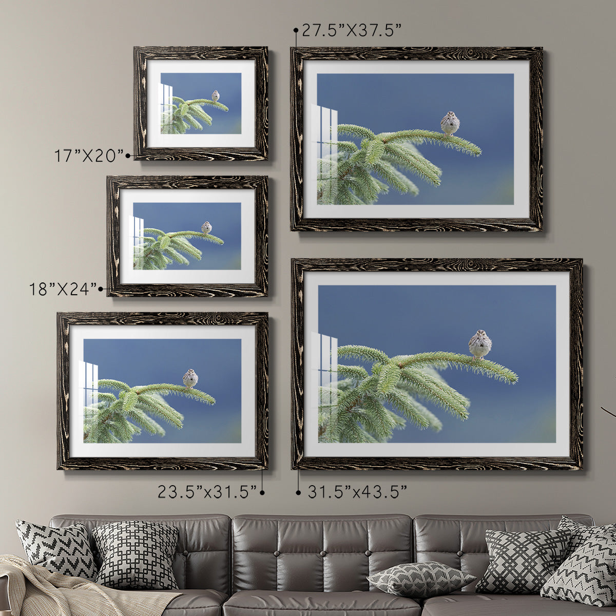 Evergreen Perch-Premium Framed Print - Ready to Hang