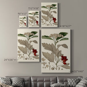 Leaves & Berries I Premium Gallery Wrapped Canvas - Ready to Hang
