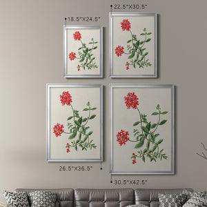 Flowers of the Seasons XI Premium Framed Print - Ready to Hang
