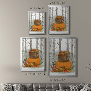 Fox Curled on Pumpkin Premium Framed Print - Ready to Hang