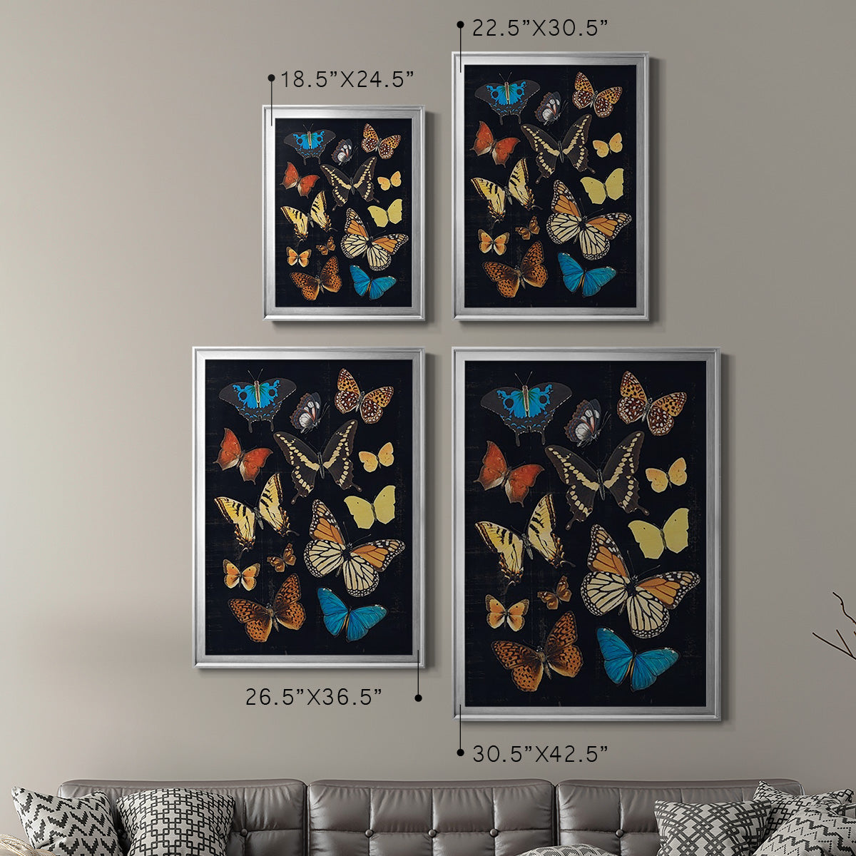 Collected Flutter IV Premium Framed Print - Ready to Hang