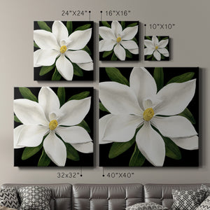 Midnight Magnolia I-Premium Gallery Wrapped Canvas - Ready to Hang