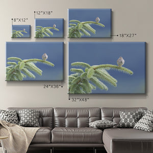 Evergreen Perch Premium Gallery Wrapped Canvas - Ready to Hang