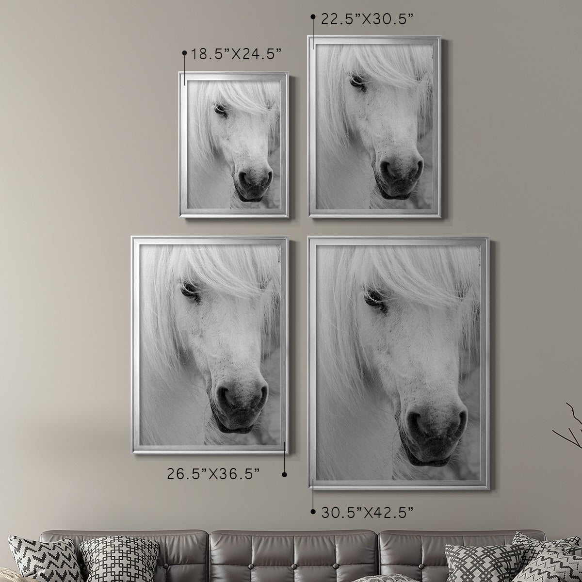 Island Pony I Premium Framed Print - Ready to Hang