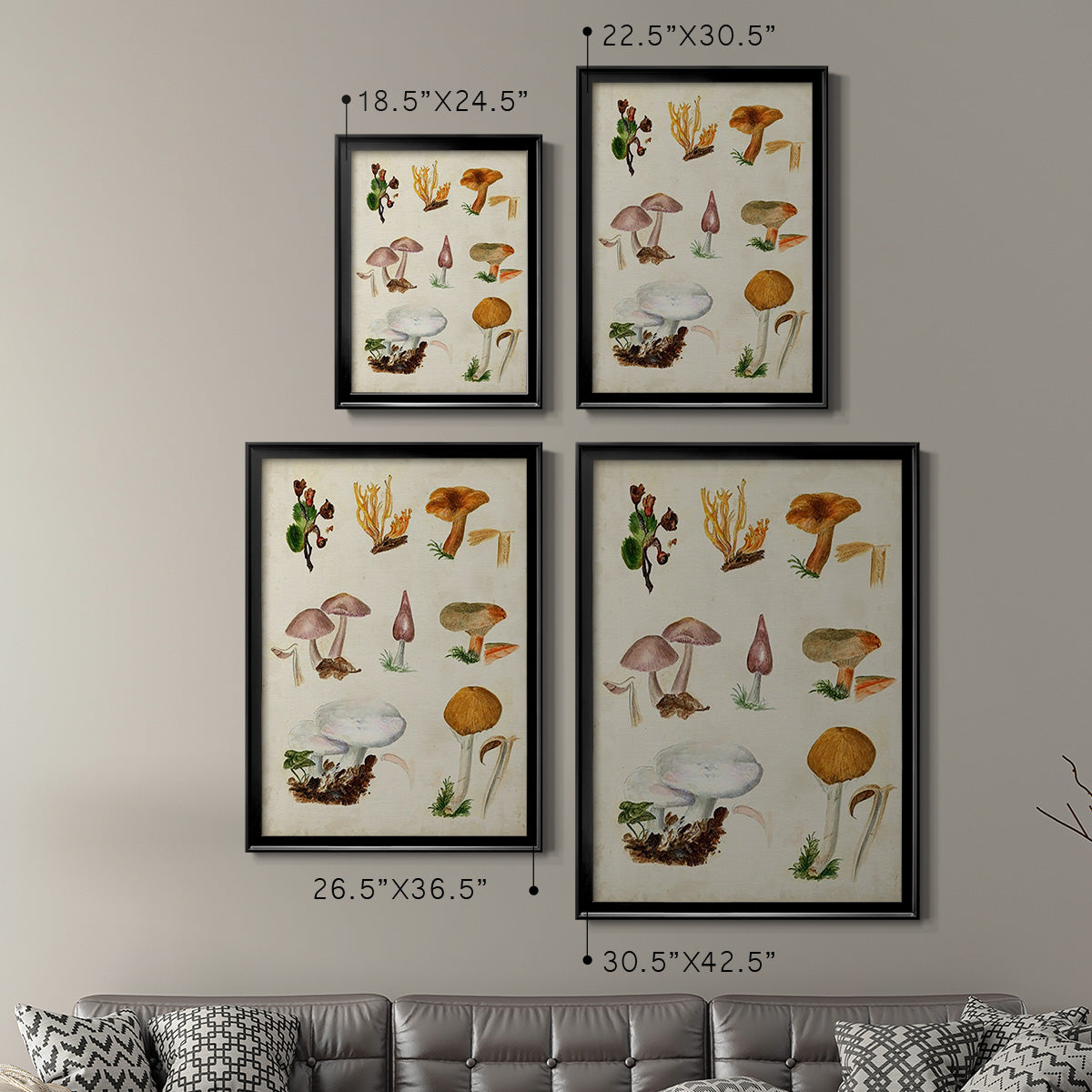 Mushroom Species VI Premium Framed Print - Ready to Hang