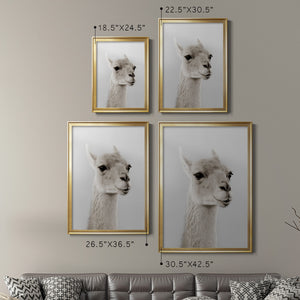 Soft Llama Premium Framed Print - Ready to Hang