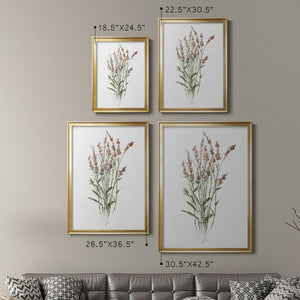 Dainty Botanical II Premium Framed Print - Ready to Hang