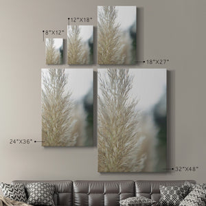 Subtle Grasses IV Premium Gallery Wrapped Canvas - Ready to Hang