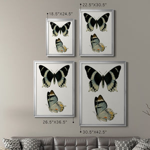 Antique Blue Butterflies I Premium Framed Print - Ready to Hang