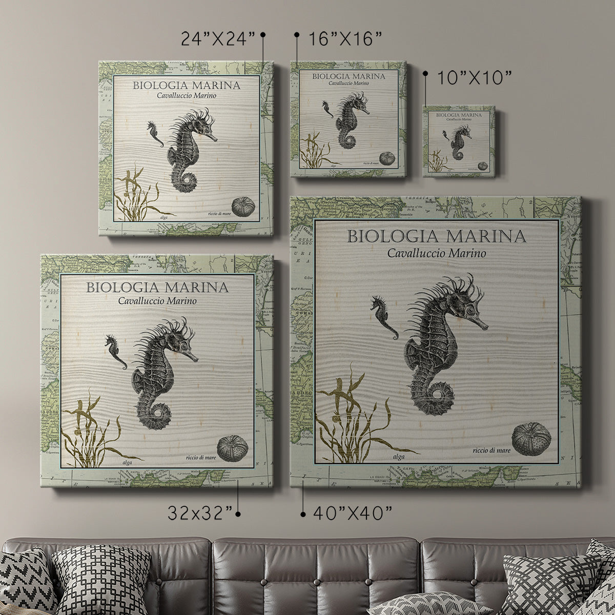 Biologia Marina III-Premium Gallery Wrapped Canvas - Ready to Hang