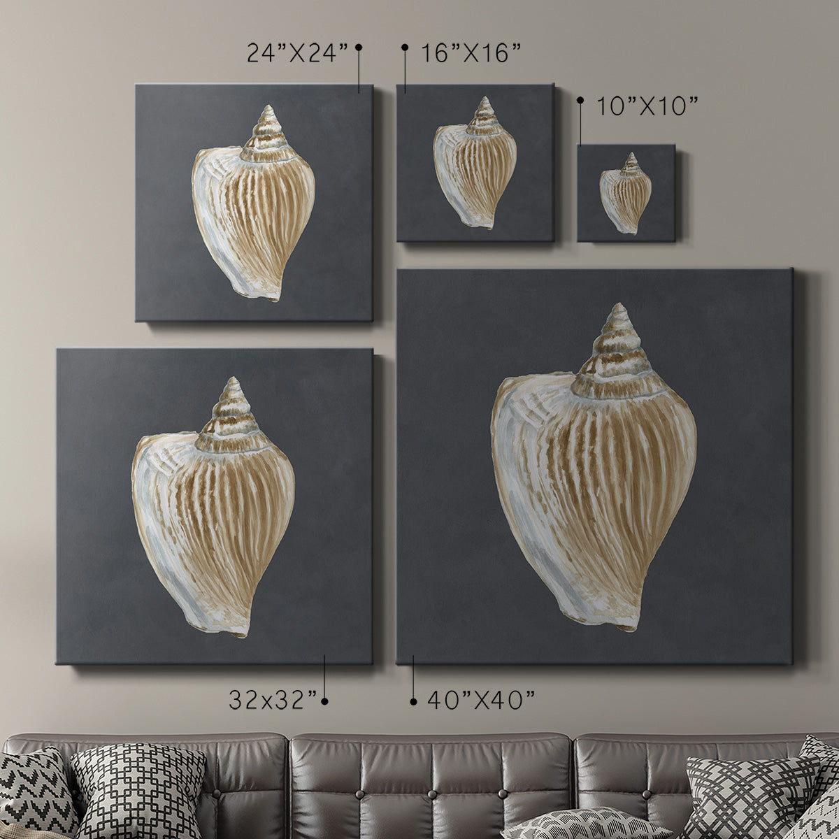 Shell on Slate VI-Premium Gallery Wrapped Canvas - Ready to Hang