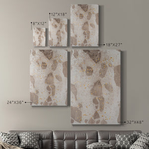 Chordata I Premium Gallery Wrapped Canvas - Ready to Hang