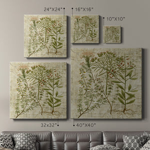 Garden Verses I-Premium Gallery Wrapped Canvas - Ready to Hang