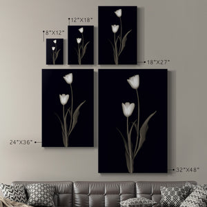 Tulip Pose II Premium Gallery Wrapped Canvas - Ready to Hang