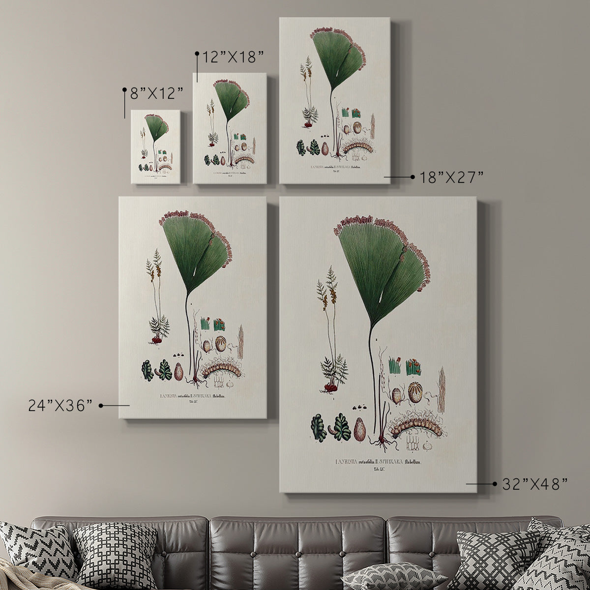 Botanical Society Ferns IX Premium Gallery Wrapped Canvas - Ready to Hang