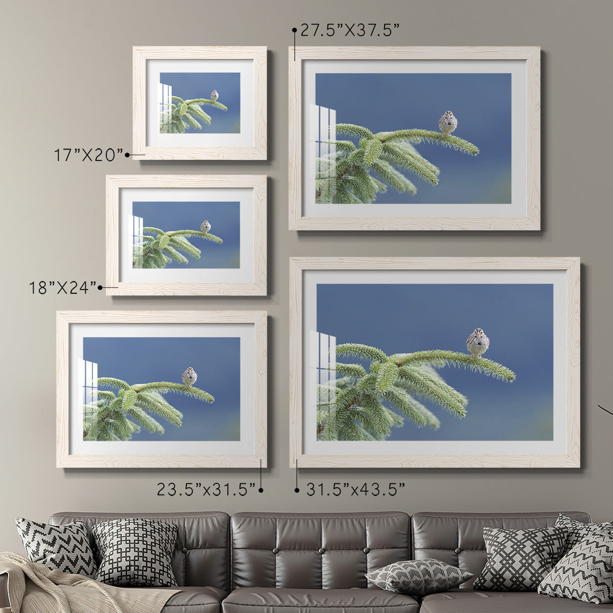 Evergreen Perch-Premium Framed Print - Ready to Hang