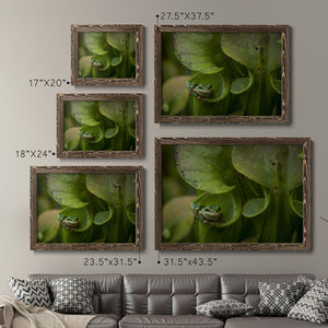 Arboreal Refuge-Premium Framed Canvas - Ready to Hang