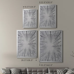 Deciduous Canopy I Premium Framed Print - Ready to Hang