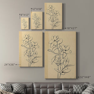Magnolia Sketch I Premium Gallery Wrapped Canvas - Ready to Hang