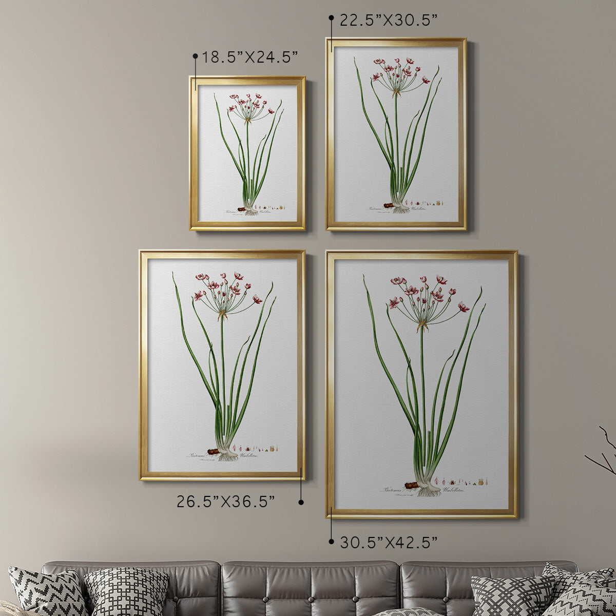 Rose Botanical II Premium Framed Print - Ready to Hang