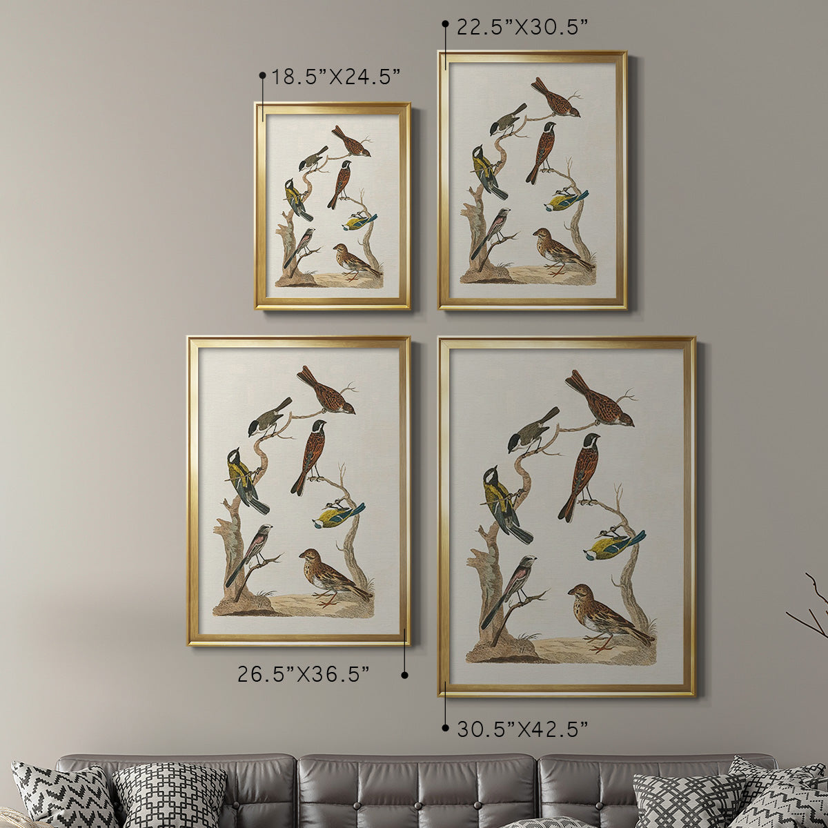 Antique Birds in Nature II Premium Framed Print - Ready to Hang