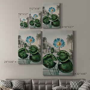 Temple of Flora IX Premium Gallery Wrapped Canvas - Ready to Hang