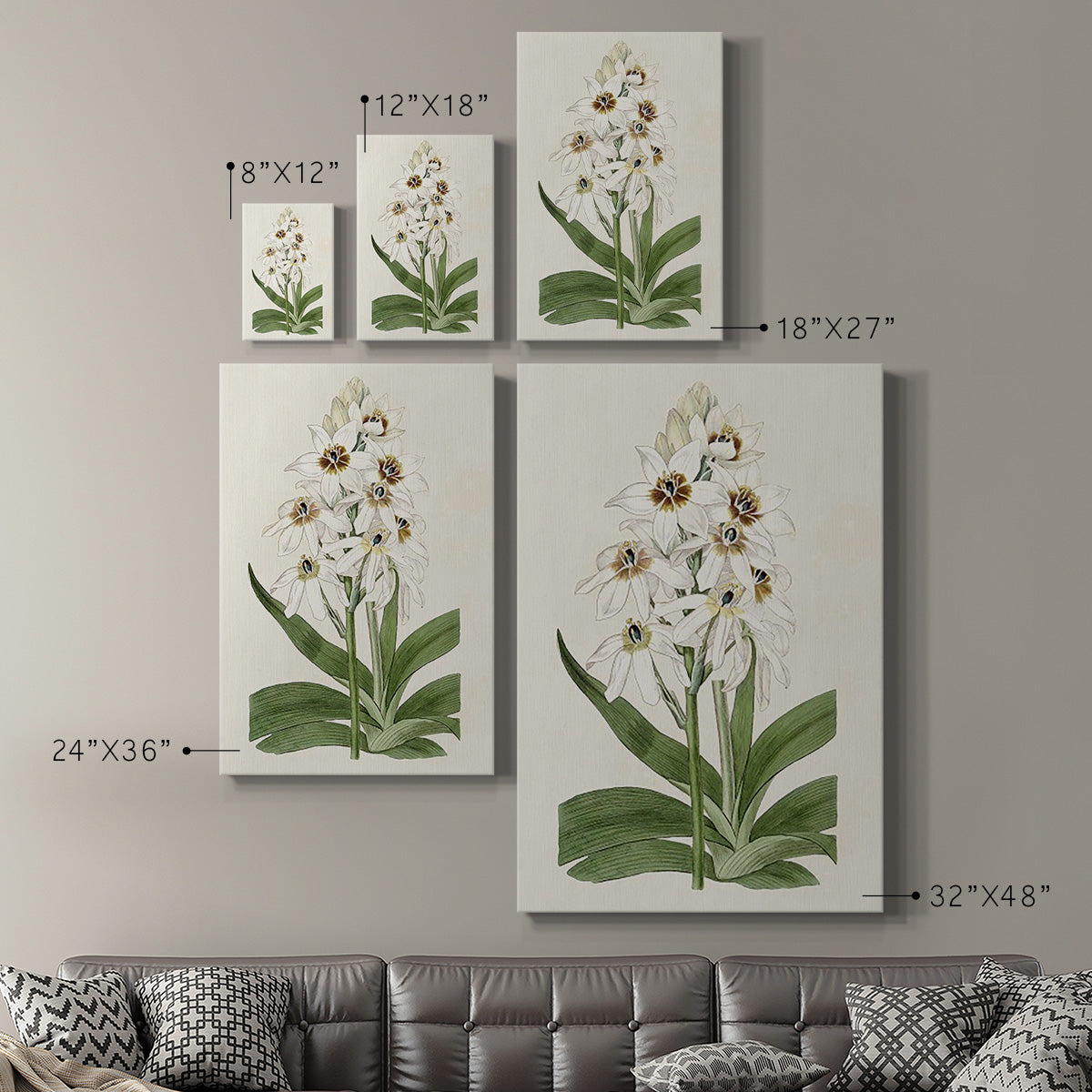Flore Albo I Premium Gallery Wrapped Canvas - Ready to Hang