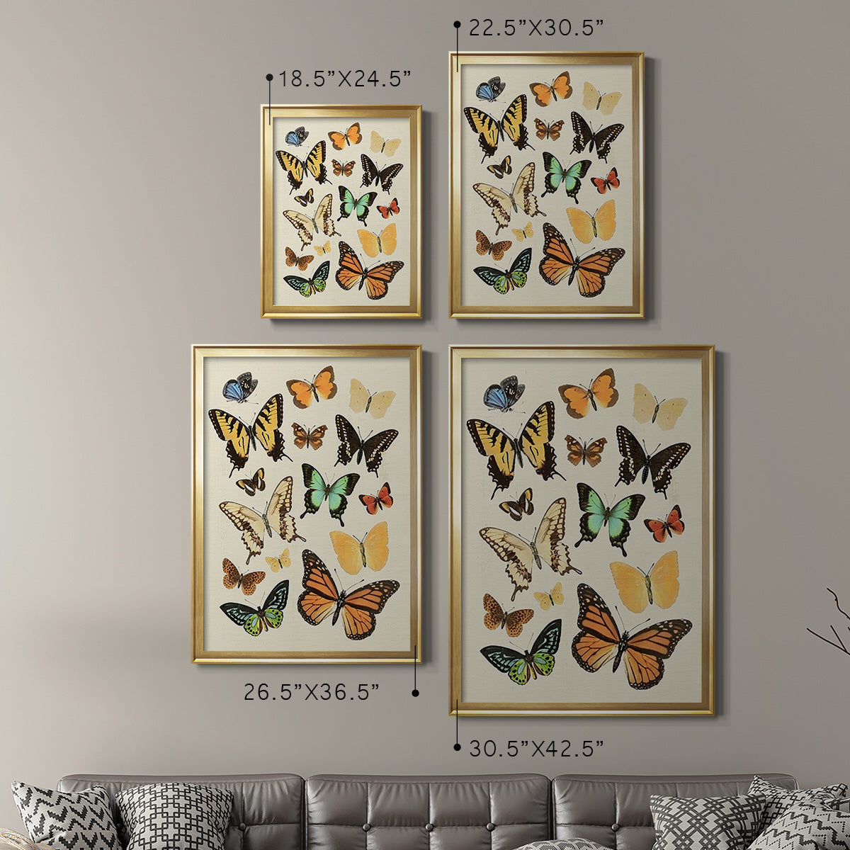 Collected Flutter I Premium Framed Print - Ready to Hang
