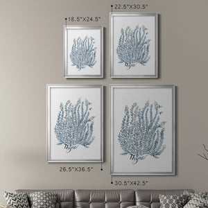 Summer Herb Garden Sketches IV Premium Framed Print - Ready to Hang