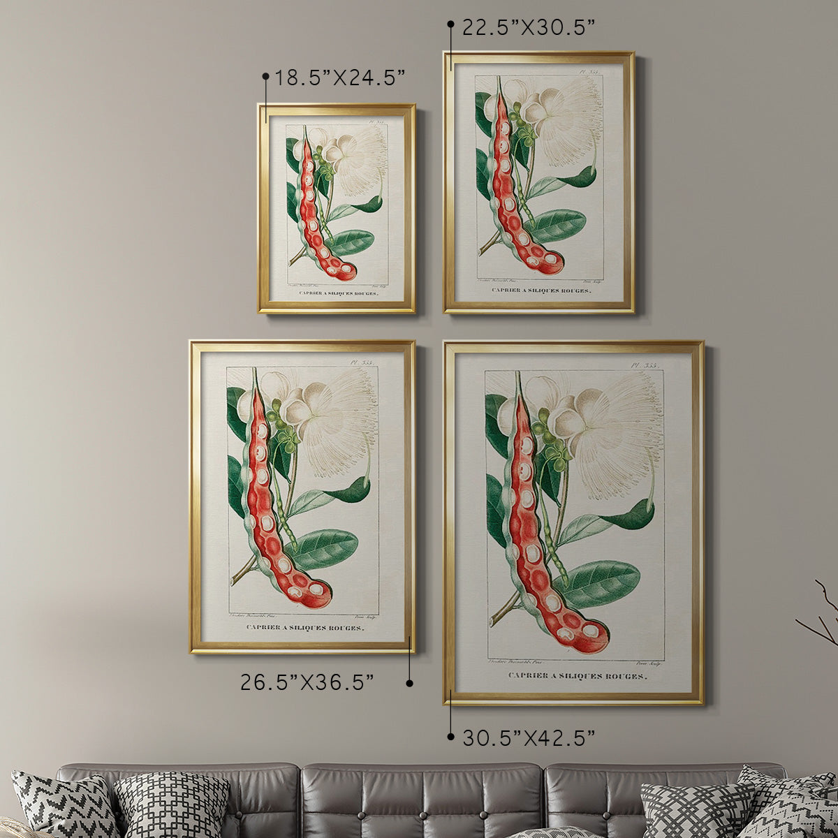 Turpin Tropical Botanicals VIII Premium Framed Print - Ready to Hang