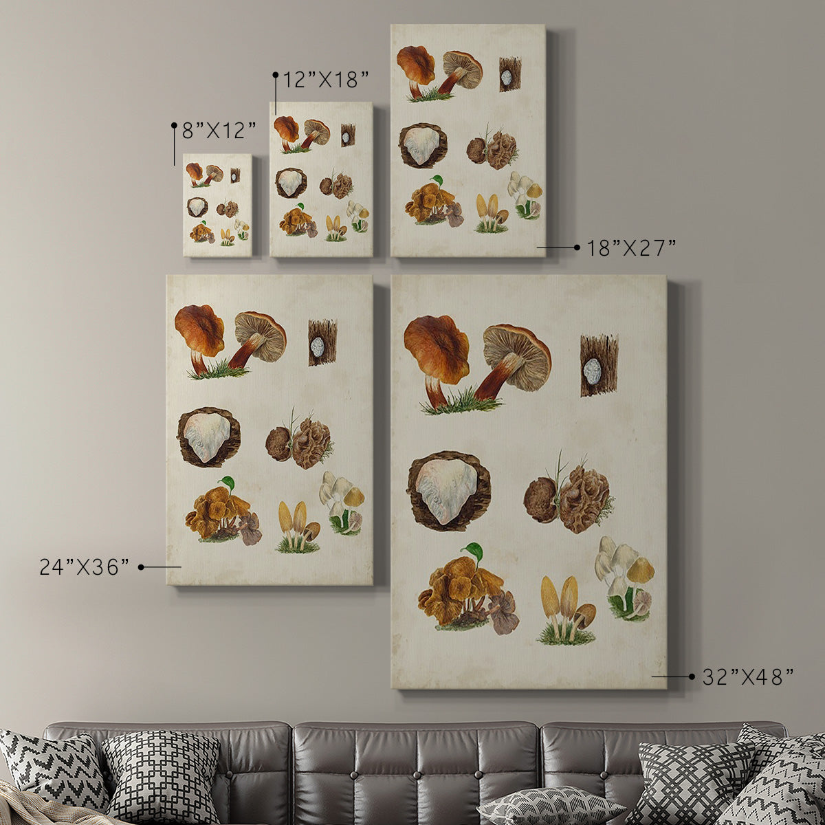 Mushroom Species I Premium Gallery Wrapped Canvas - Ready to Hang