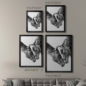 Equine Portrait VI Premium Framed Print - Ready to Hang