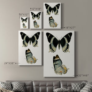 Antique Blue Butterflies I Premium Gallery Wrapped Canvas - Ready to Hang