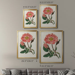 Pink Floral Mix IX Premium Framed Print - Ready to Hang
