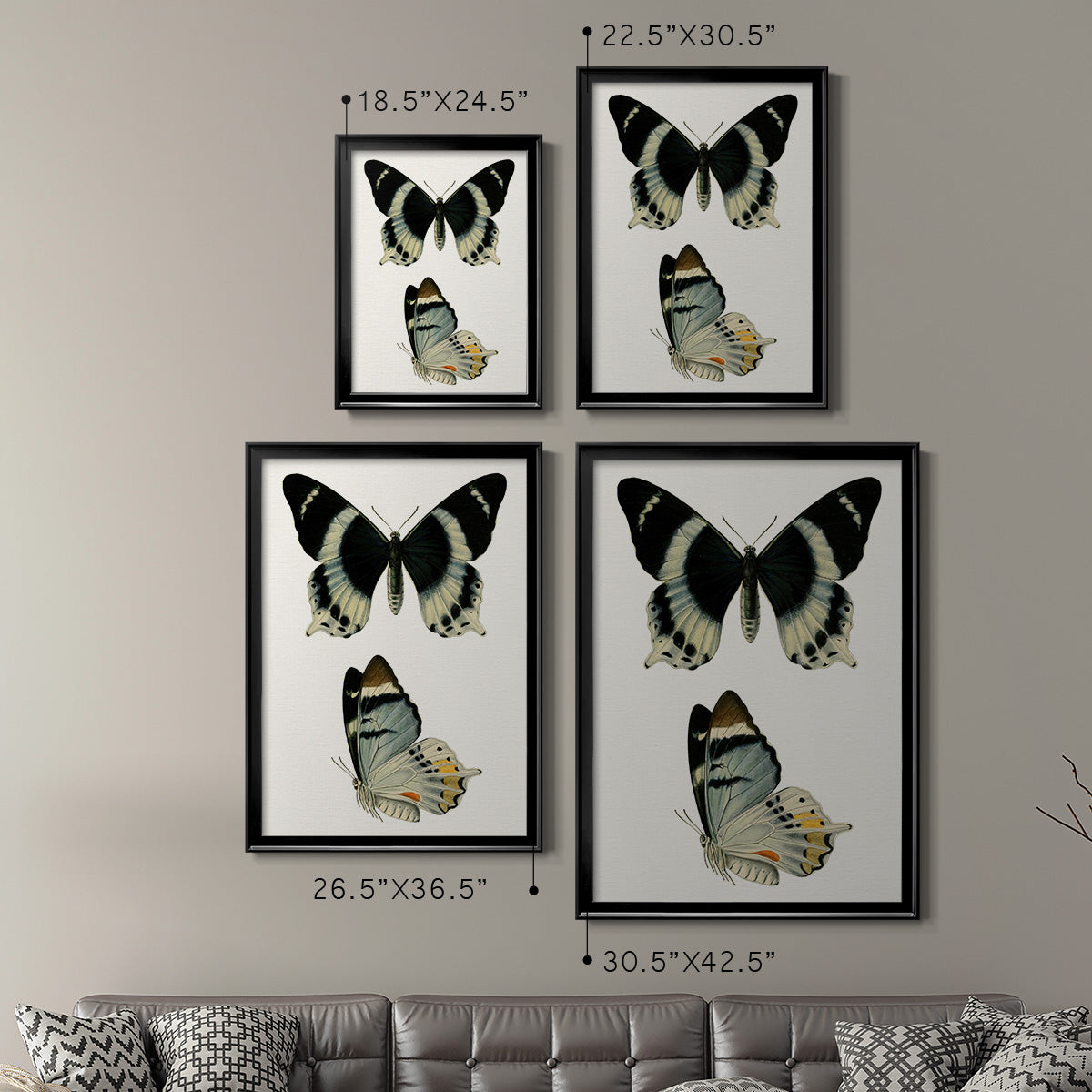 Antique Blue Butterflies I Premium Framed Print - Ready to Hang