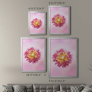 Exotic Flower Burst I Premium Framed Print - Ready to Hang