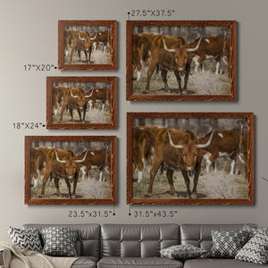 Longhorns-Premium Framed Canvas - Ready to Hang
