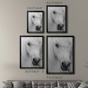 Island Pony I Premium Framed Print - Ready to Hang