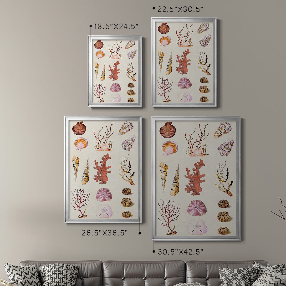Coral & Shell Collage II Premium Framed Print - Ready to Hang