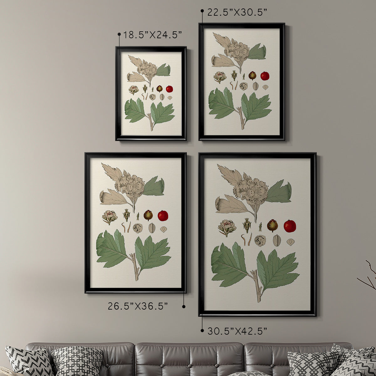 Leaves & Berries IV Premium Framed Print - Ready to Hang