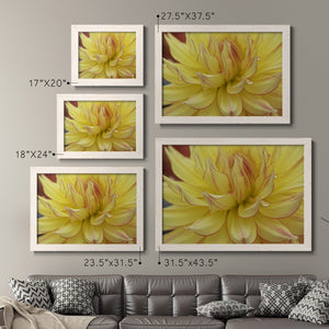 Blooms I-Premium Framed Canvas - Ready to Hang