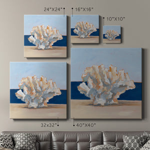 Coral By the Shore II-Premium Gallery Wrapped Canvas - Ready to Hang