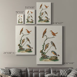 Antique Birds in Nature IV Premium Gallery Wrapped Canvas - Ready to Hang