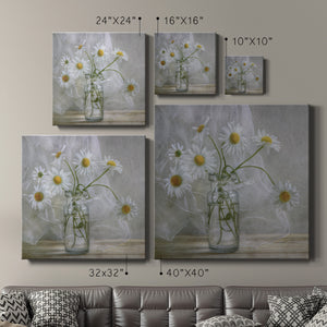 Daisies - Canvas Art Print